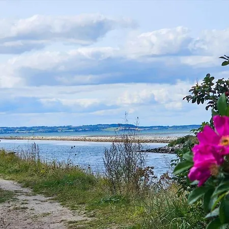 84194-ebeltoft-oerkrogvejen-2-323 Holiday home